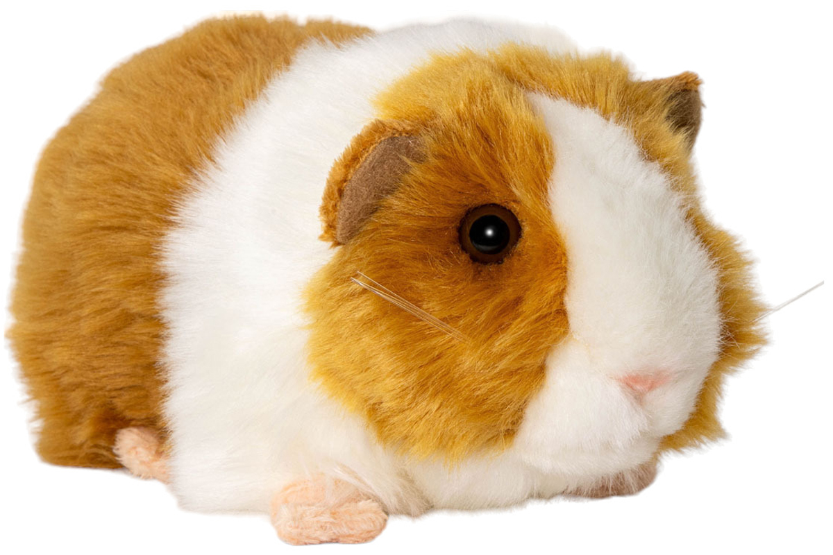 Amazon.com: Carl Dick Guinea Pig Brown, 7.5 inches, 20cm, Plush